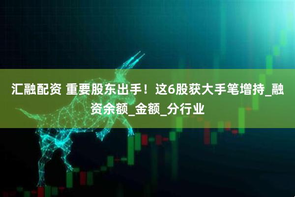 汇融配资 重要股东出手！这6股获大手笔增持_融资余额_金额_分行业