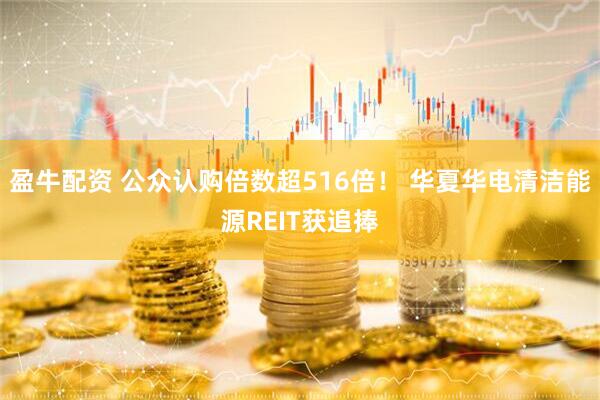 盈牛配资 公众认购倍数超516倍！ 华夏华电清洁能源REIT获追捧