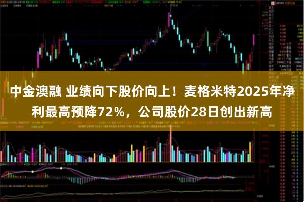 中金澳融 业绩向下股价向上！麦格米特2025年净利最高预降72%，公司股价28日创出新高