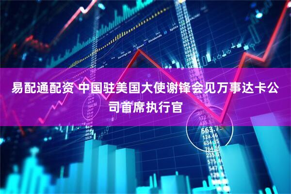 易配通配资 中国驻美国大使谢锋会见万事达卡公司首席执行官